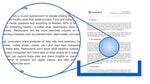 Load image into Gallery viewer, I will craft a business plan with marketing and financial model

