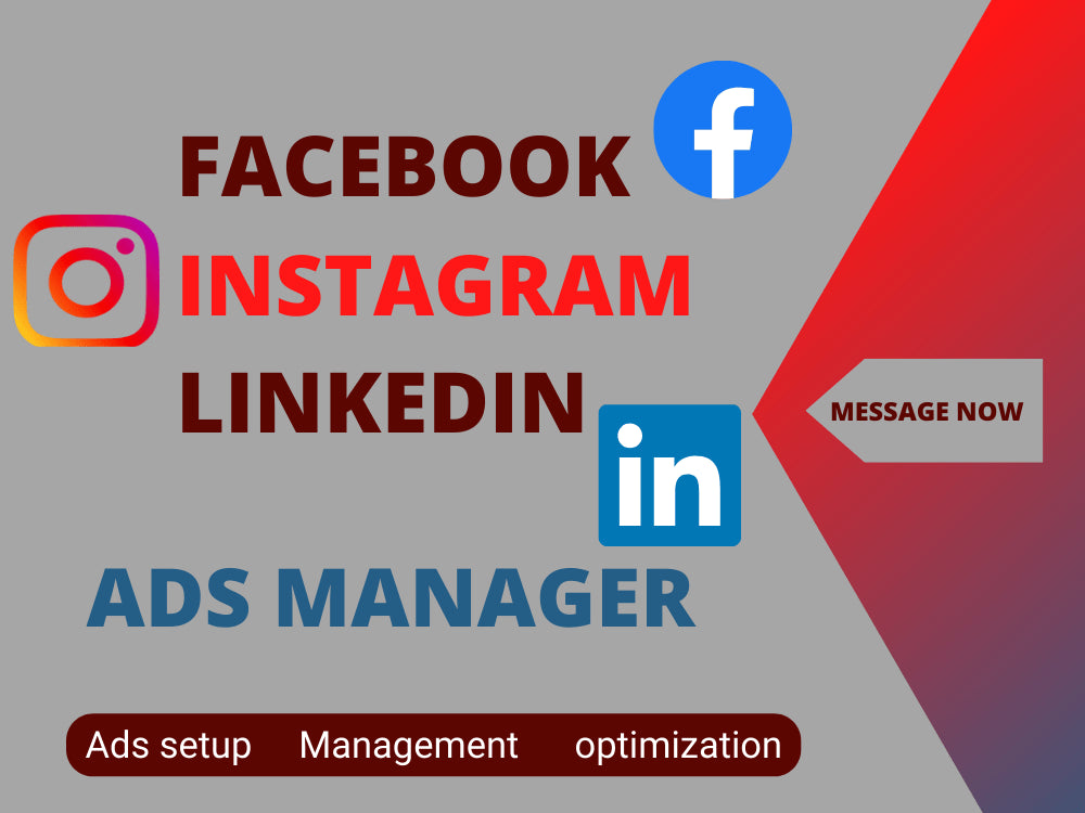 I will be your social media meta facebook and instagram ads campaign manager